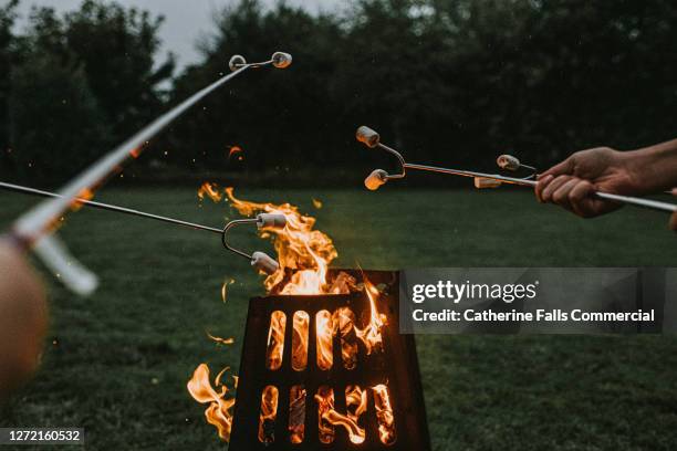 toasting marshmallows over a fire pit at dusk - burnt pot stock pictures, royalty-free photos & images