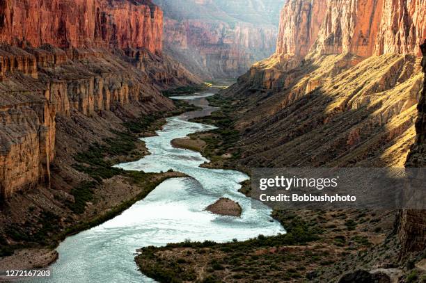 grand canyon, blick auf den colorado river vom nankoweap lookout - grand canyon stock-fotos und bilder