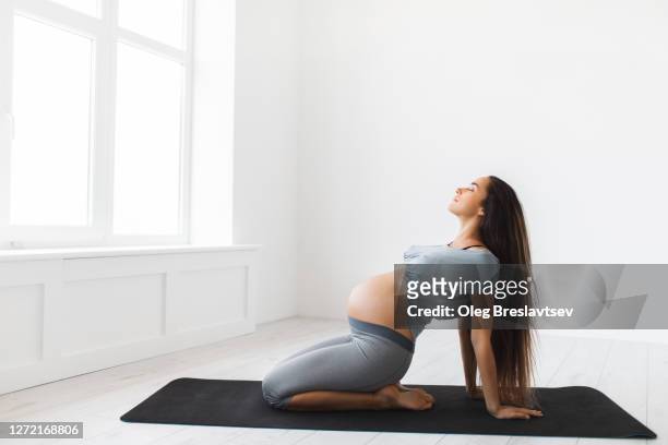 pregnant woman practicing yoga indoors. healthy lifestyle, wellness and vitaity - prenatal yoga stock pictures, royalty-free photos & images