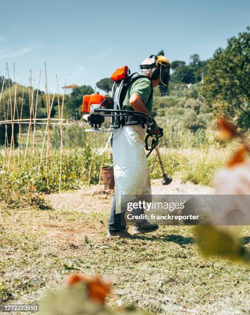 Trimmer Using Man 67 String Trimmers Stock Photos, High-Res Pictures, and Images - Getty ...