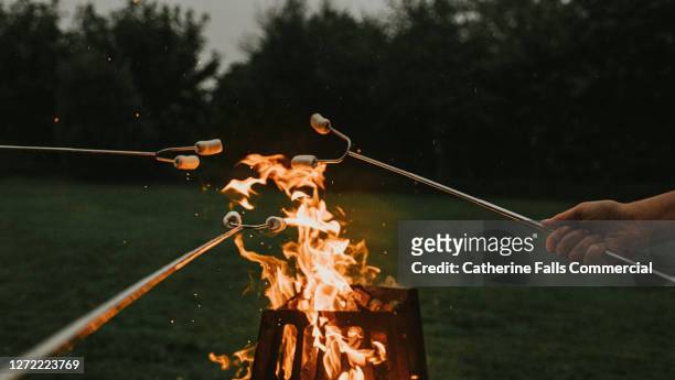 toasting marshmallows over a fire pit at dusk - bbq tools stock-fotos und bilder
