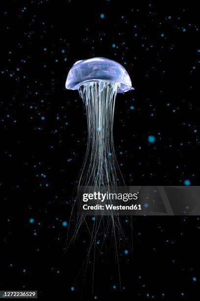 illustrations, cliparts, dessins animés et icônes de three dimensional render of glowing jellyfish - méduse cnidaire