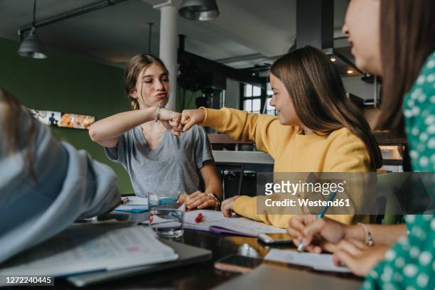 teenage girls studying together at home, doing fist bump - studying stock-fotos und bilder