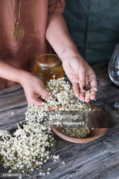 midsection of woman preparing fresh cocktail with white flowers on wooden table - elderberry stock-fotos und bilder