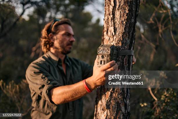 mature man holding trail camera on tree trunk while standing in forest - preservação da fauna selvagem - fotografias e filmes do acervo
