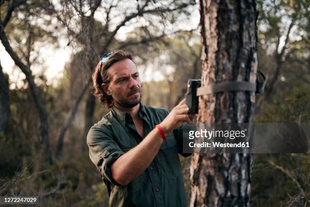man adjusting the settings in trail camera mounting on tree trunk in forest - parkwachter stockfoto's en -beelden