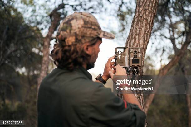 mature male photographer positioning trail camera on tree trunk in forest - preservação da fauna selvagem - fotografias e filmes do acervo