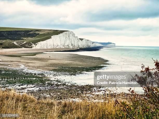 the seven sisters chalk cliffs - south downs national park stock pictures, royalty-free photos & images