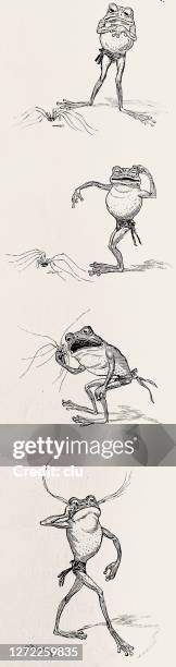 frog uses a spider for his mustache - faces collage stock illustrations