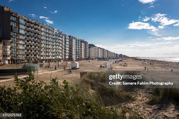 scenic view of a beach against sky - belgische kustlijn stockfoto's en -beelden