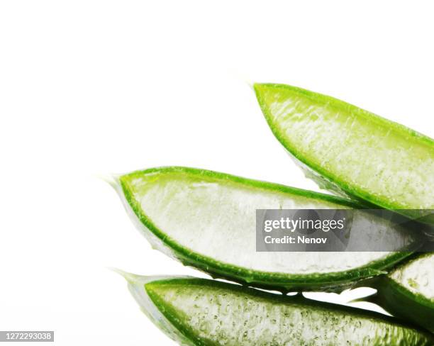 close-up of aloe vera slice on white background - aloe slices stock pictures, royalty-free photos & images