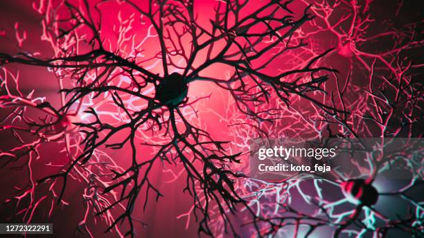 neuronensystemkrankheit - brain cells stock-fotos und bilder