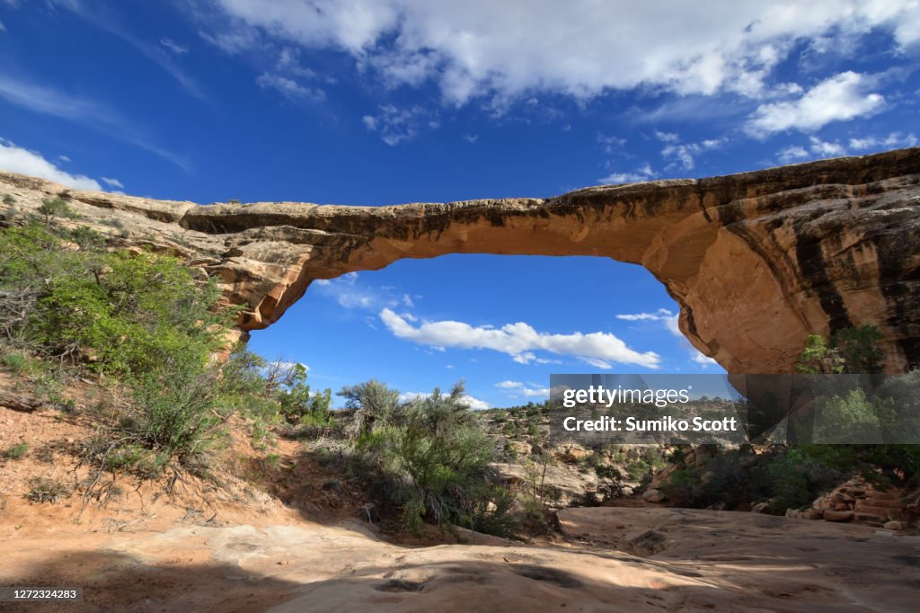 Owachomo Bridge at Sunset, Natural Bridges National Monument, UT