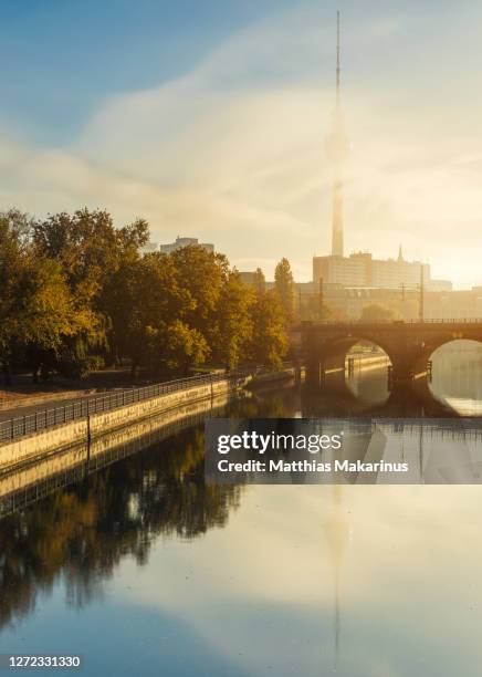 berlin city golden autumn foggy skyline with spree river reflection tv tower and sunlight - fall park stock pictures, royalty-free photos & images