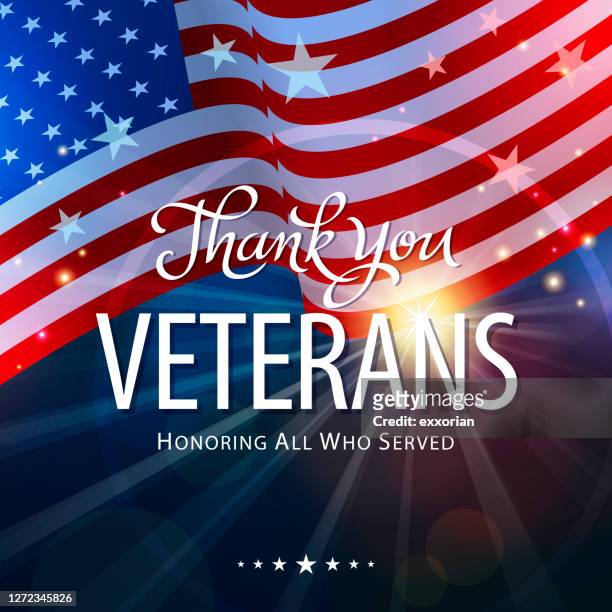 ehrung von veteranen - veterans day stock-grafiken, -clipart, -cartoons und -symbole