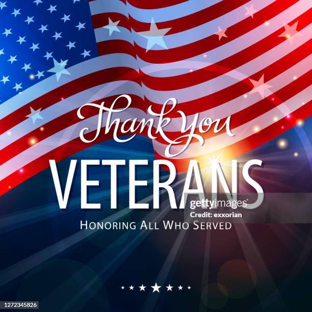 ilustraciones, imágenes clip art, dibujos animados e iconos de stock de honrar a los veteranos - cabalgata
