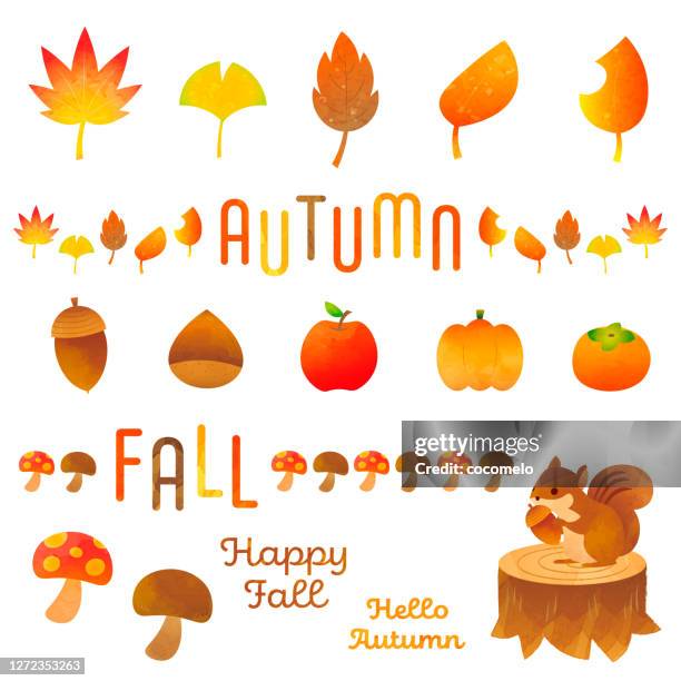 set of autumn. - squirrels stock illustrations