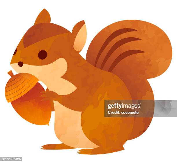 chipmunk. - chipmunk stock illustrations