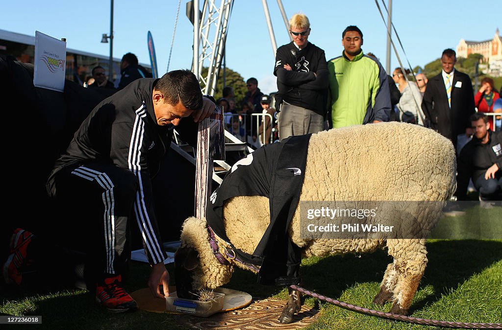 New Zealand IRB RWC 2011 Fan Day