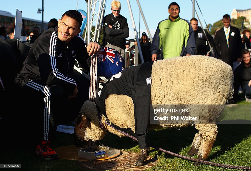 New Zealand IRB RWC 2011 Fan Day