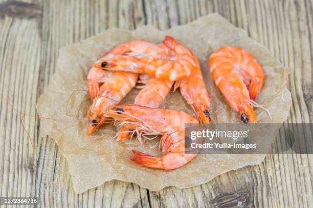 close up still life of fresh shrimp - stor räka bildbanksfoton och bilder