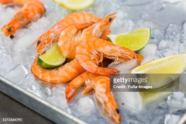 cooked shrimp chilling on ice with lime wedges - prawn stockfoto's en -beelden