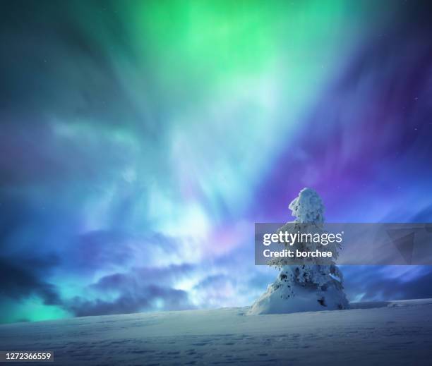 idyllische de nacht van de winter onder kleurrijke hemel - noorderlicht sterren stockfoto's en -beelden