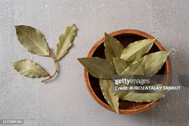 whole bay leaves - laurier photos et images de collection