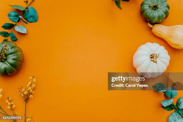 top view pumpkin and eucalyptus branches in orange background - おもちゃカボチャ ストックフォトと画像