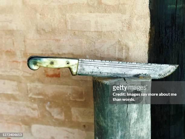 a rustic machete sutcked in to a log. still life - machete stock pictures, royalty-free photos & images
