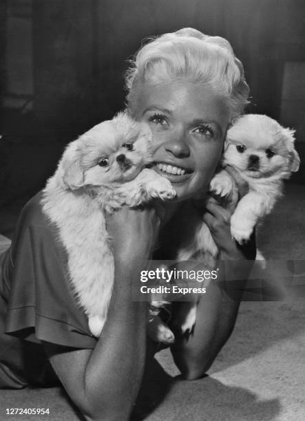 American actress Jayne Mansfield holding two white Pekingese puppies at the Dorchester Hotel, London, UK, 27th September 1957.