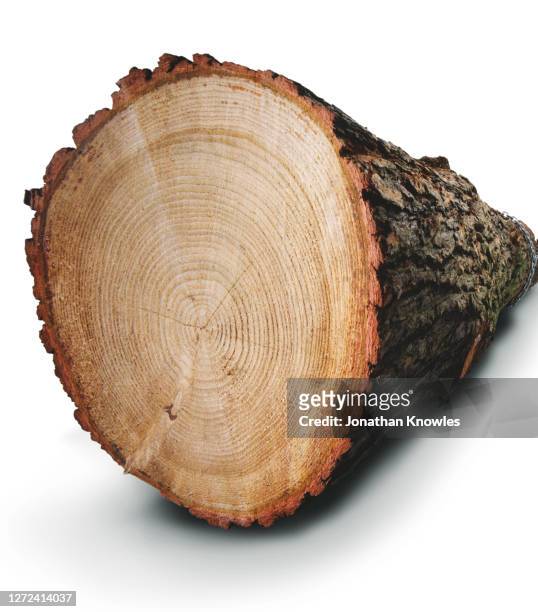 close up wood tree rings - log stock-fotos und bilder