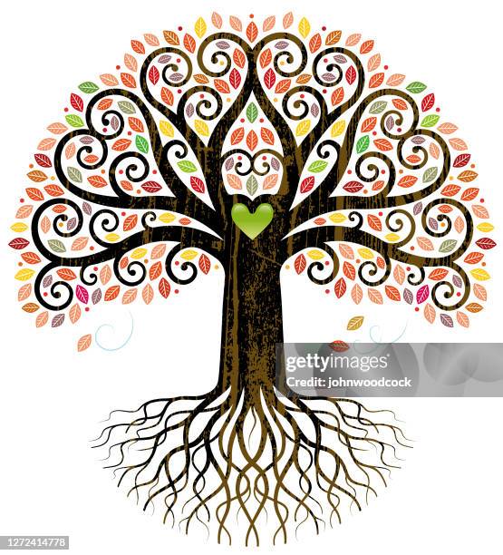 Fall Tree With Roots Background 191 Fall Tree With Roots High Res Illustrations - Getty Images