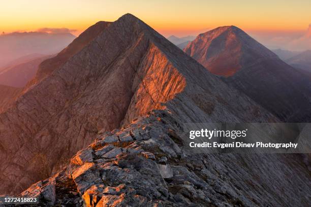 the foal "koncheto" ridge - bulgaria stock pictures, royalty-free photos & images