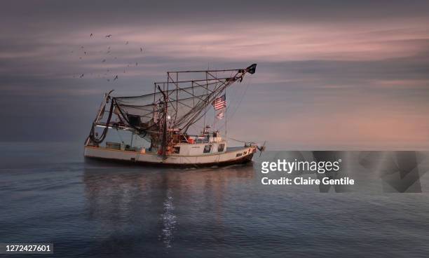 shrimp fishing at sunset - shrimp boat stock pictures, royalty-free photos & images