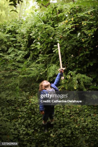 a boy playing with a sword in the wood - terra em estado natural - fotografias e filmes do acervo