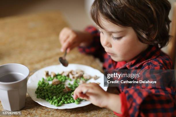 a little boy eating peas for the lunch - arveja fotografías e imágenes de stock