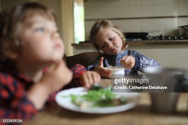 a brother and a sister having lunch at home - sister photos et images de collection