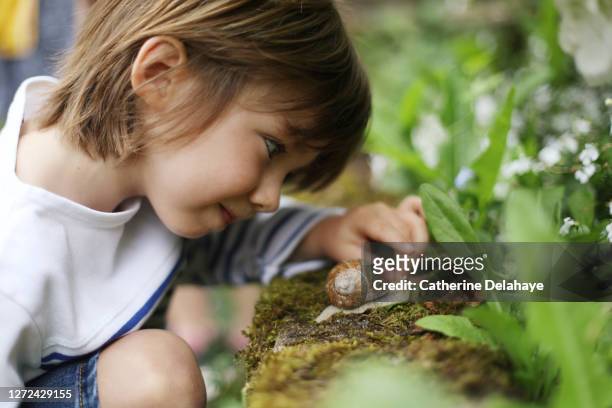 a boy observing a snail - children only stock-fotos und bilder