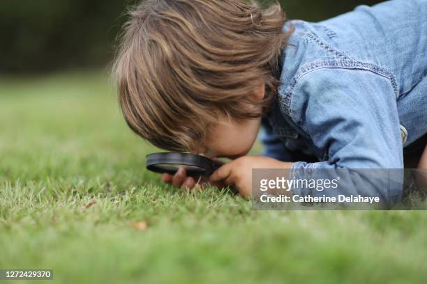 a little boy observing insects with a magnifying glass - ontdekking stockfoto's en -beelden