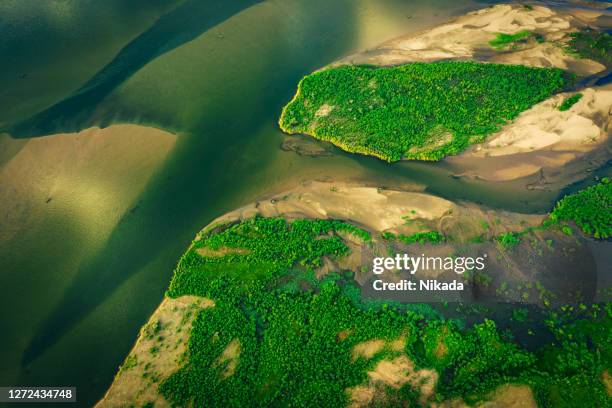 sandbänke im fluss des unteren sambesi-gebietes in sambia, afrika - polder stock-fotos und bilder