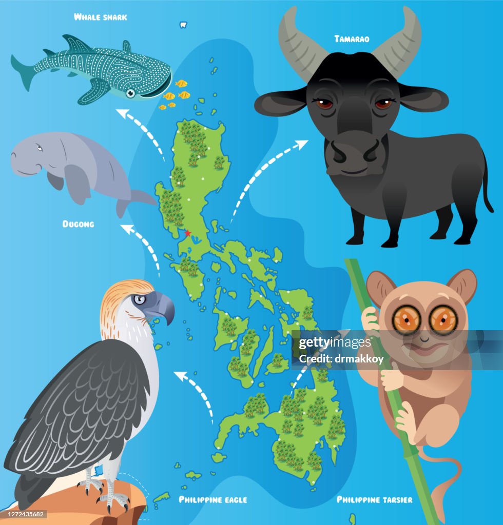 Philippines Animals and Map