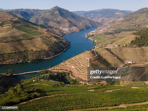 douro-tal bei peso da régua - douro river stock-fotos und bilder