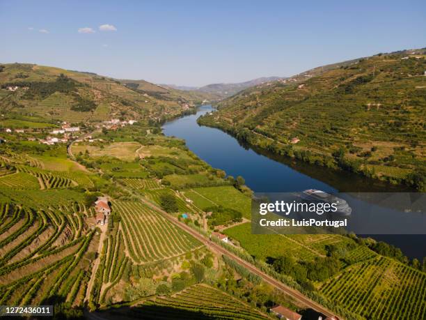 douro valley near mesão frio with a turistic boat - the douro imagens e fotografias de stock