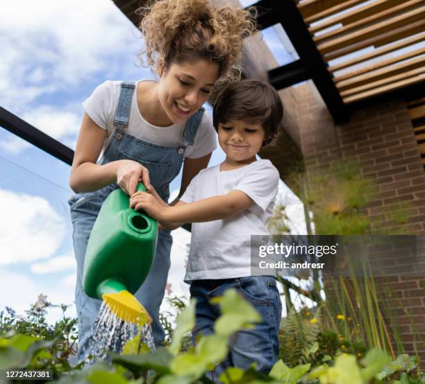 mère enseignant à son fils comment arroser les usines dans leur jardin à la maison - bush photos et images de collection