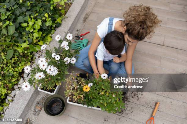 mother and son gardening in the terrace of their house - flower etnic stock pictures, royalty-free photos & images