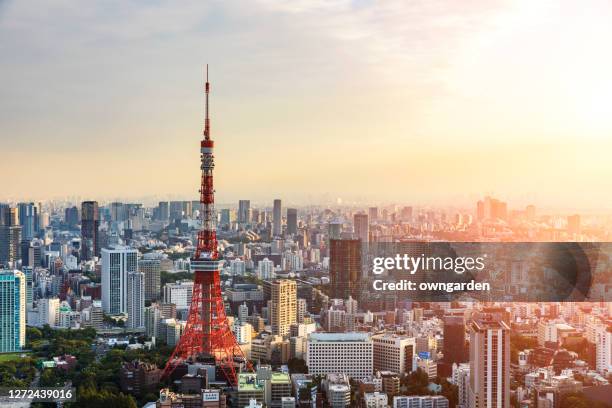 238点の東京タワー 朝のストックフォト Getty Images 238点の東京タワー 朝のストックフォト Getty Images
