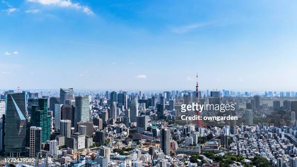 aerial view of tokyo skyline - prefettura di tokyo foto e immagini stock