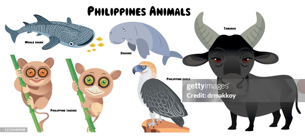 Philippines Animals