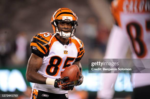 Chad Ochocinco of the Cincinnati Bengals during a game against the New York Jets at Metlife Stadium on November 25, 2010 in East Rutherford, New...